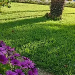 5 Elementi Bed & Breakfast 4*