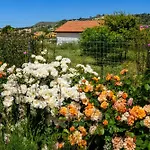 Bed & Breakfast 5 Elementi