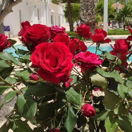 فندق مبيت وإفطار 5 Elementi