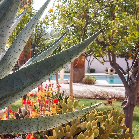 5 Elementi Bed and breakfast Porto Empedocle