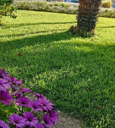 5 Elementi فندق مبيت وإفطار 4*