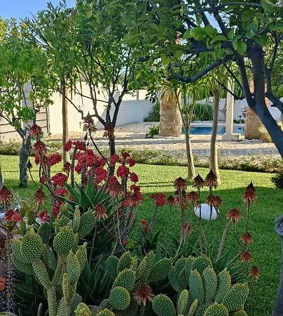 فندق مبيت وإفطار 5 Elementi