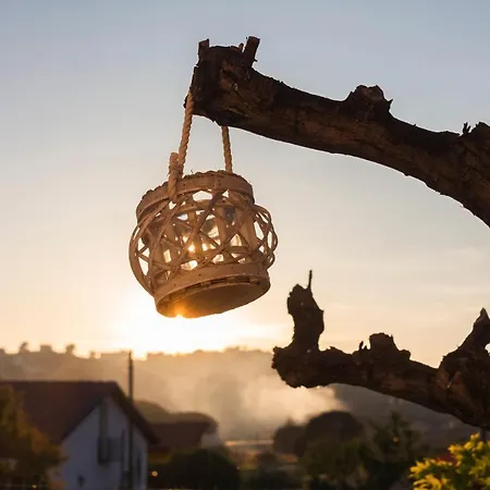 5 Elementi فندق مبيت وإفطار بورتو إمبيدوكْلي