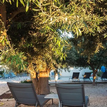 5 Elementi