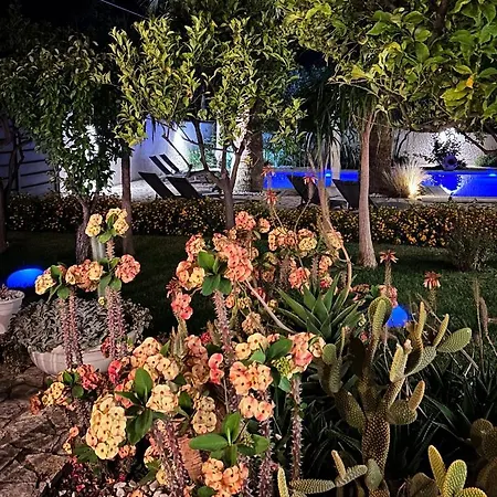 5 Elementi فندق مبيت وإفطار 4*