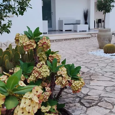 5 Elementi بورتو إمبيدوكْلي