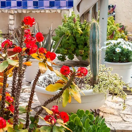 5 Elementi ベッド・アンド・ブレックファスト ポルト・エンペードクレ