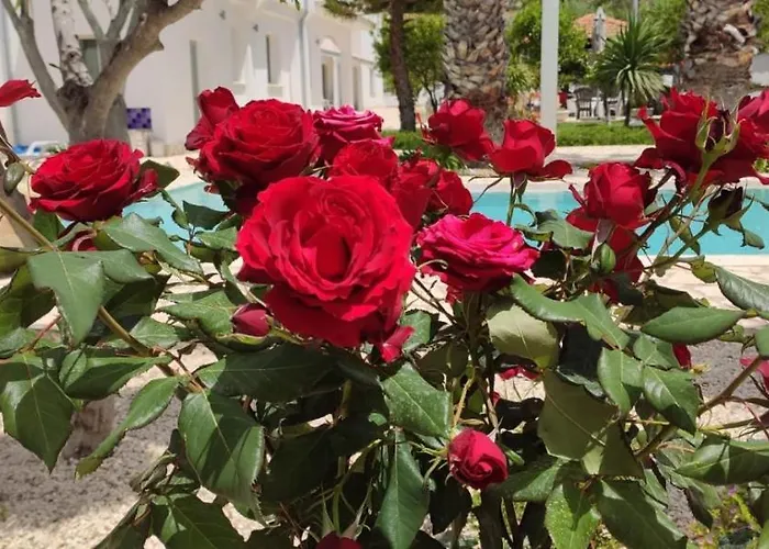 Bed and breakfast 5 Elementi