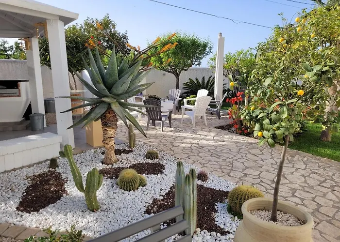 Bed & Breakfast 5 Elementi