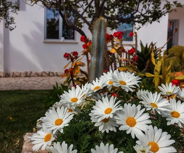 5 Elementi Bed and breakfast Porto Empedocle