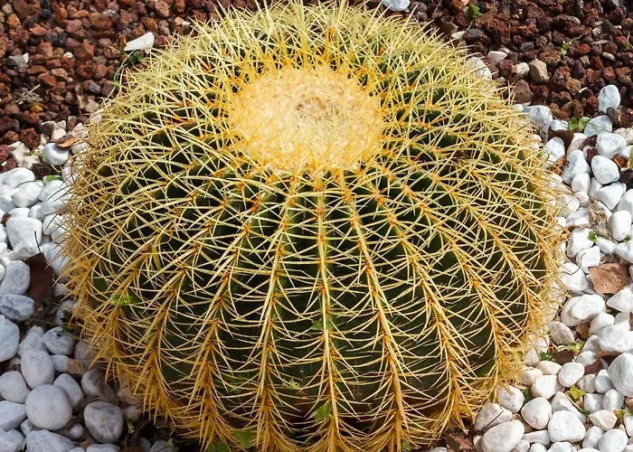 Bed and breakfast 5 Elementi