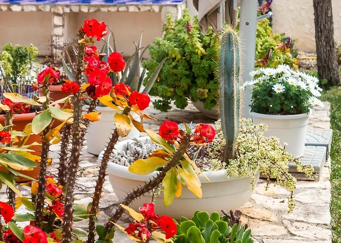 5 Elementi Bed and breakfast Porto Empedocle