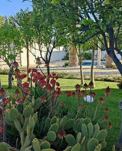 Bed & Breakfast 5 Elementi